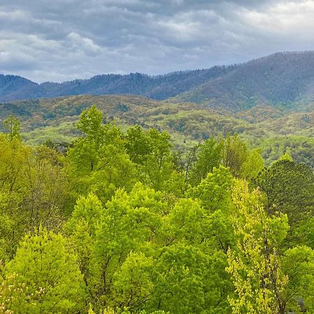 Amazing Views Βίλα Gatlinburg Δωμάτιο φωτογραφία