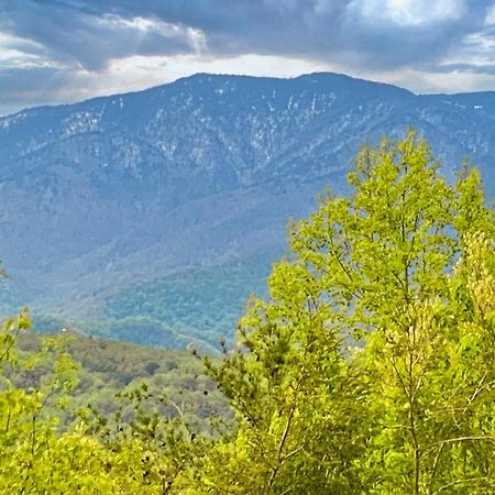 Amazing Views Βίλα Gatlinburg Δωμάτιο φωτογραφία