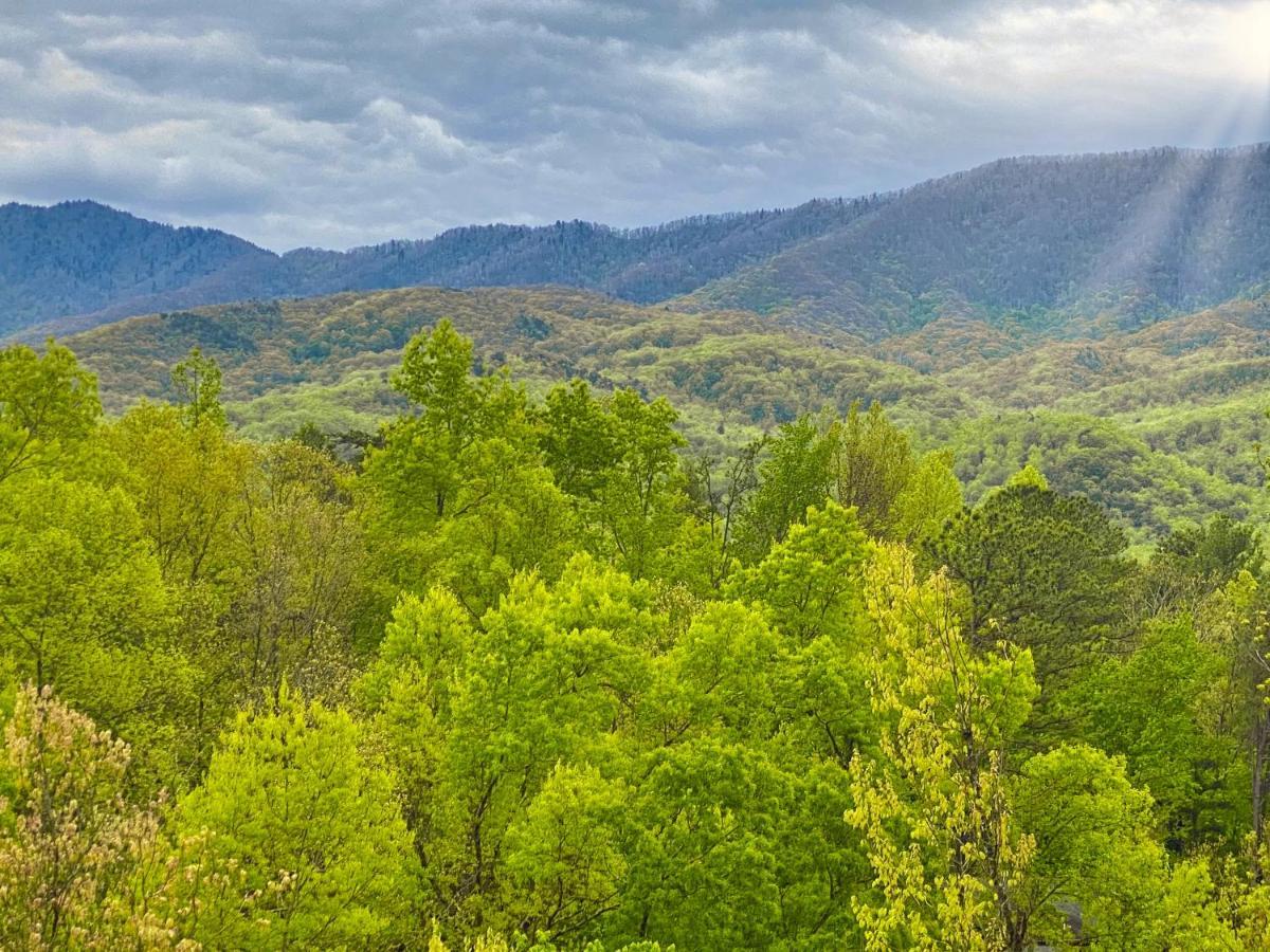 Amazing Views Βίλα Gatlinburg Δωμάτιο φωτογραφία