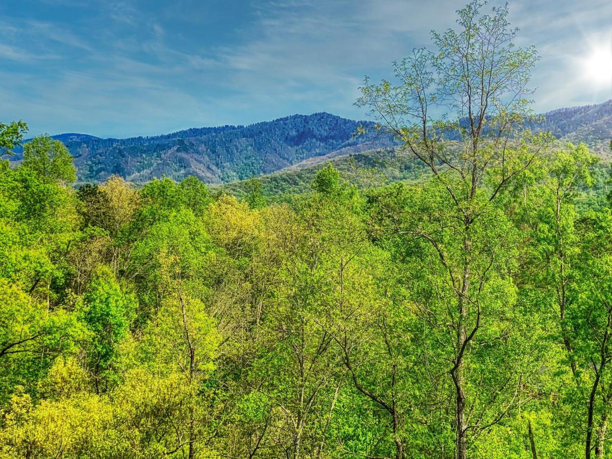 Amazing Views Βίλα Gatlinburg Εξωτερικό φωτογραφία